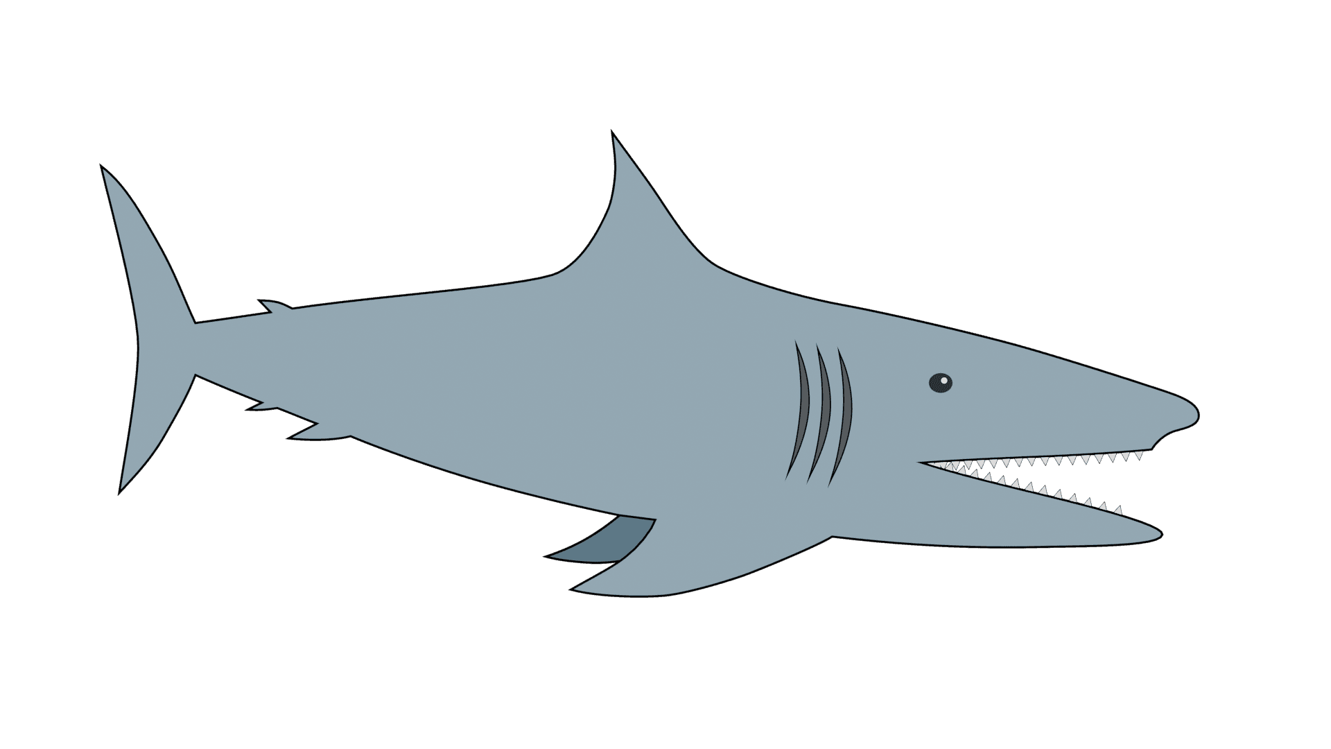 An image from the Megalodon README
